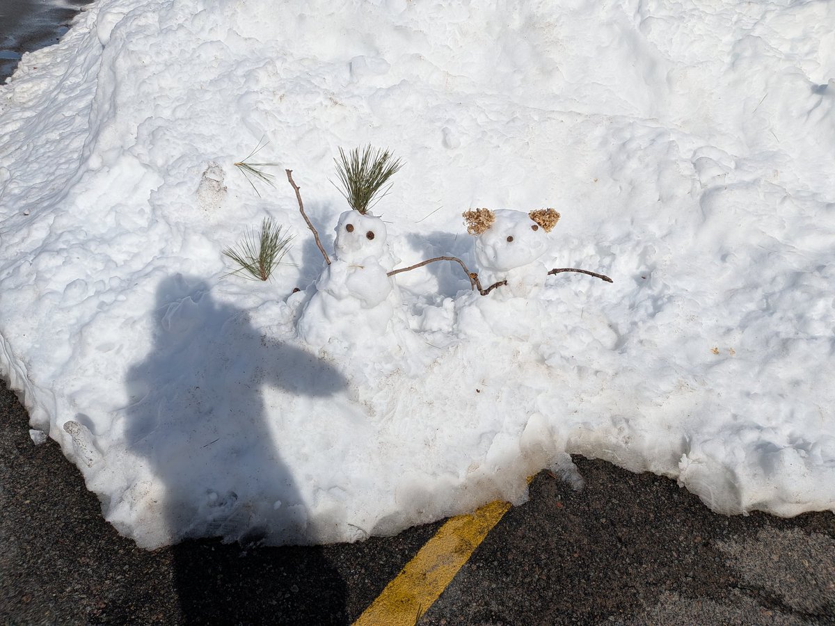 SkiRunLift's tweet photo. I made 2 snow people during my run, at the trailhead. One (left) was halfway. The other (right) about a mile from the end of my run. 1st guy was melted &amp; I had to fix him.
Hydrangeas are perfect for afro puffs!! They are holding branches. 💚
#runner #snowmen
@NathalieR71 https://t.co/waYSToPBDg