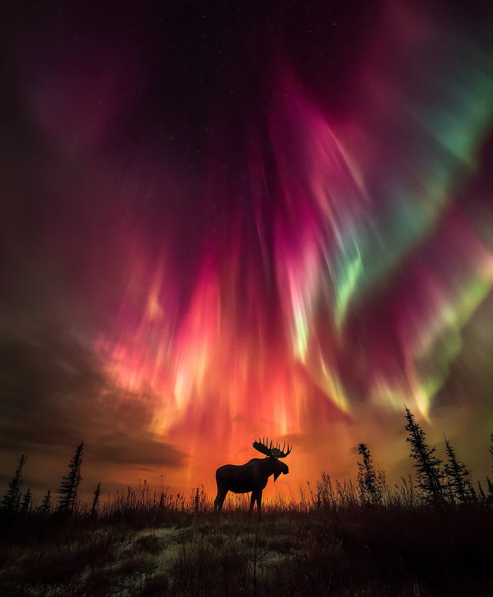 Earth’s Beauty tweet media