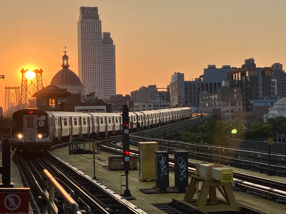 theveganarchist 🇵🇸 tweet media