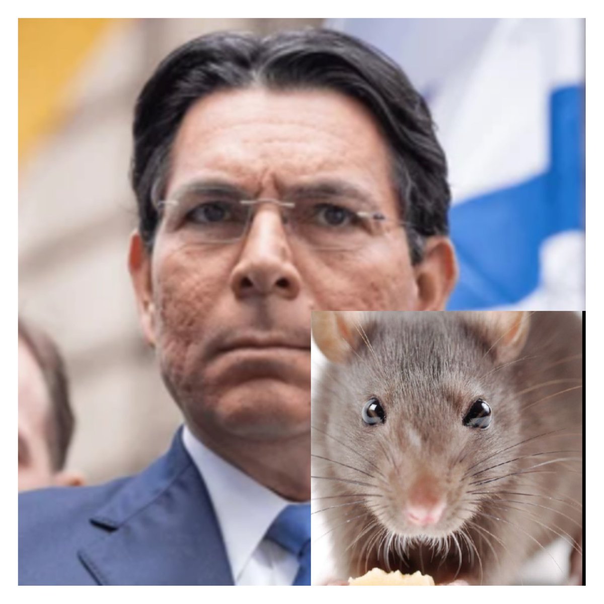 RAYMOND OLIVER tweet media