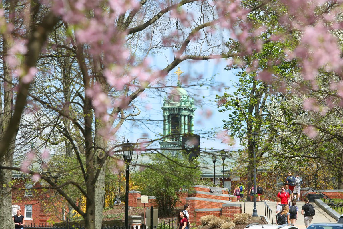 College of the Holy Cross tweet media