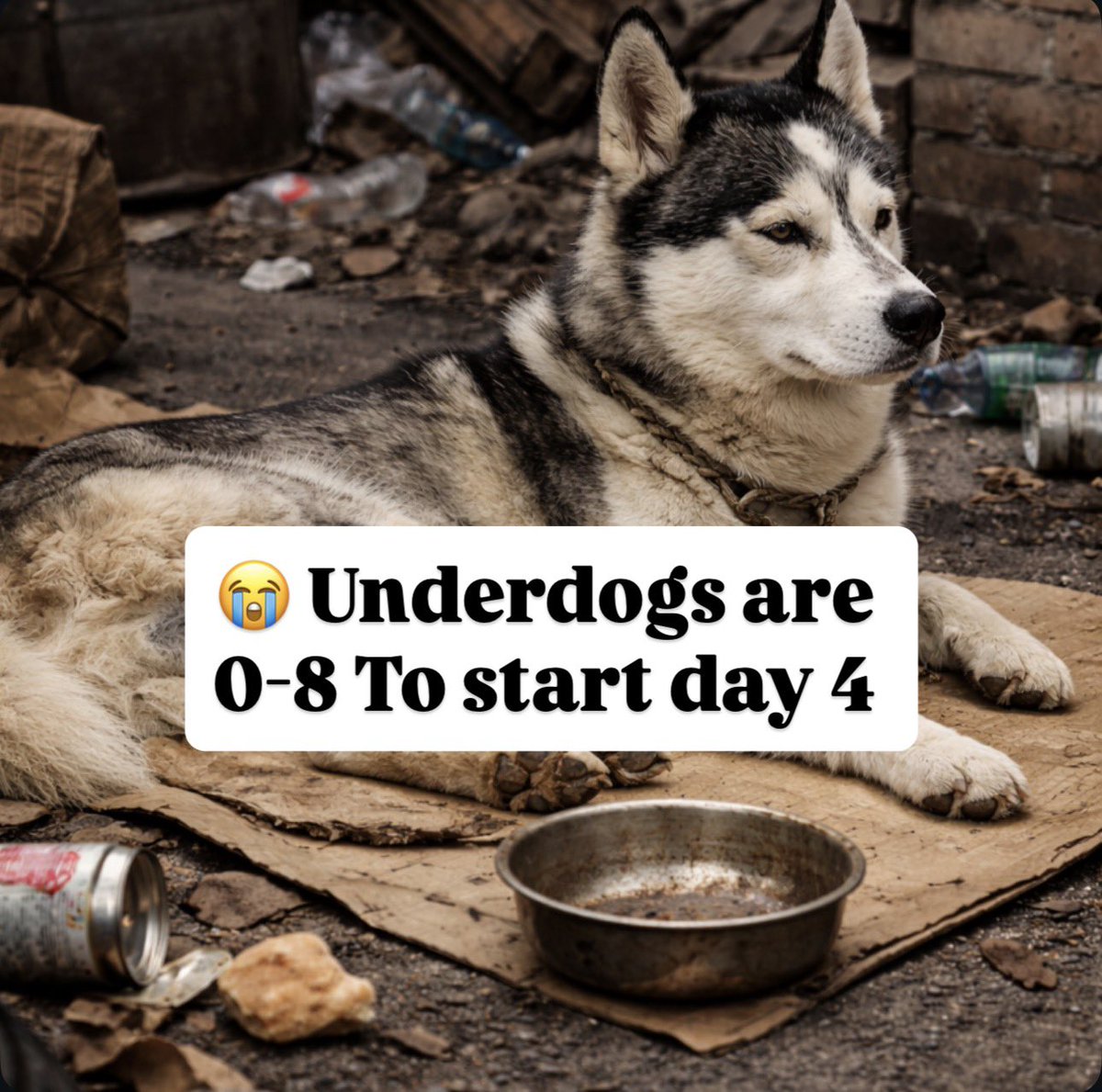 Matty Betss tweet media