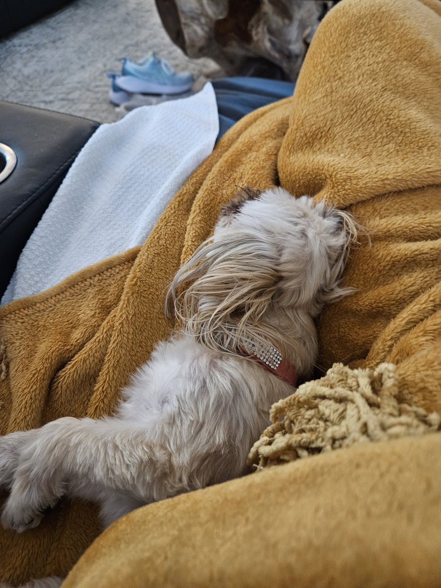 Classified (OG) ™️ - tweet media