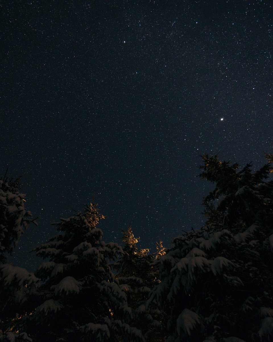 G Rainer tweet media