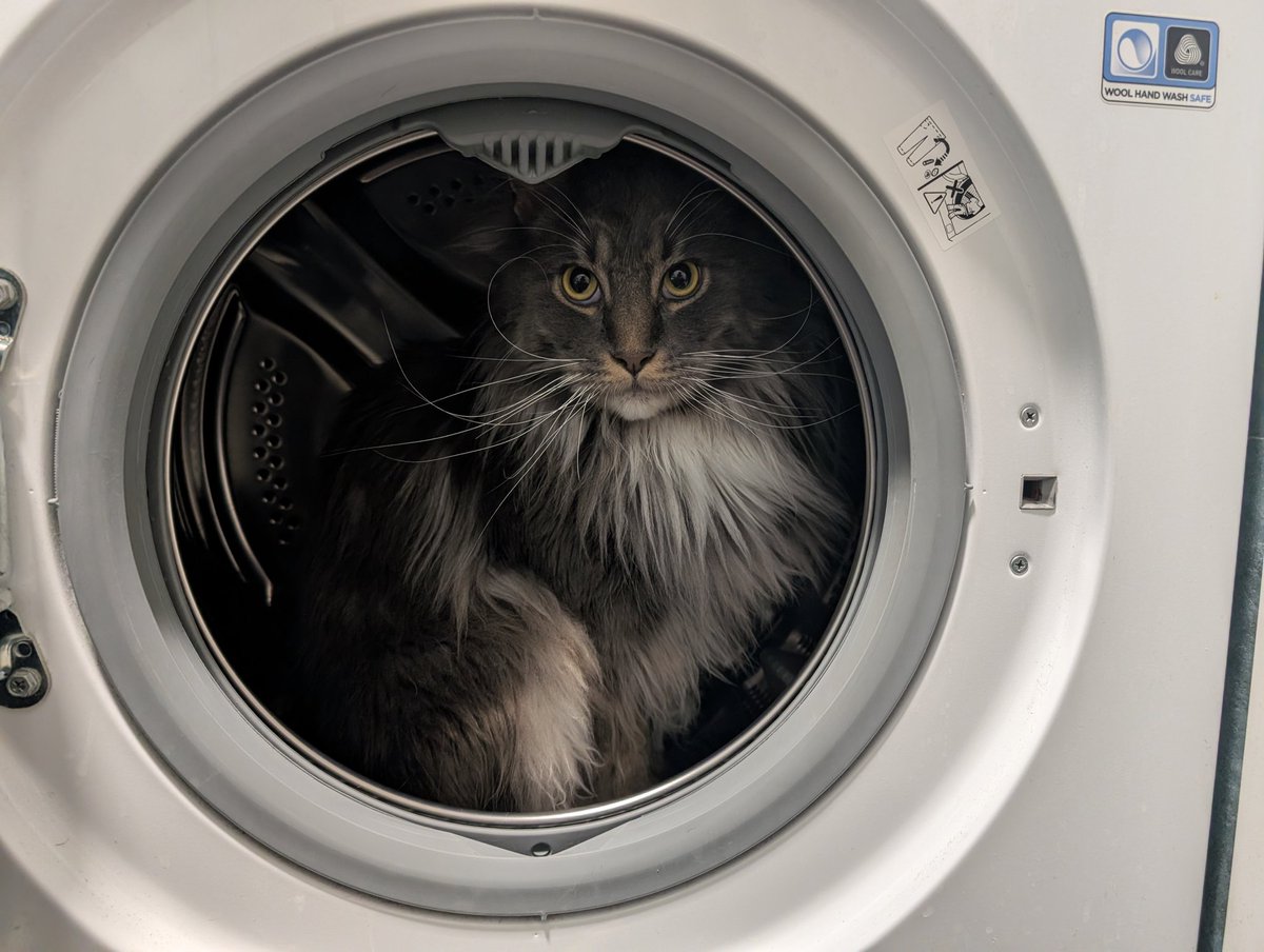 Фенобарбі ✨ tweet media