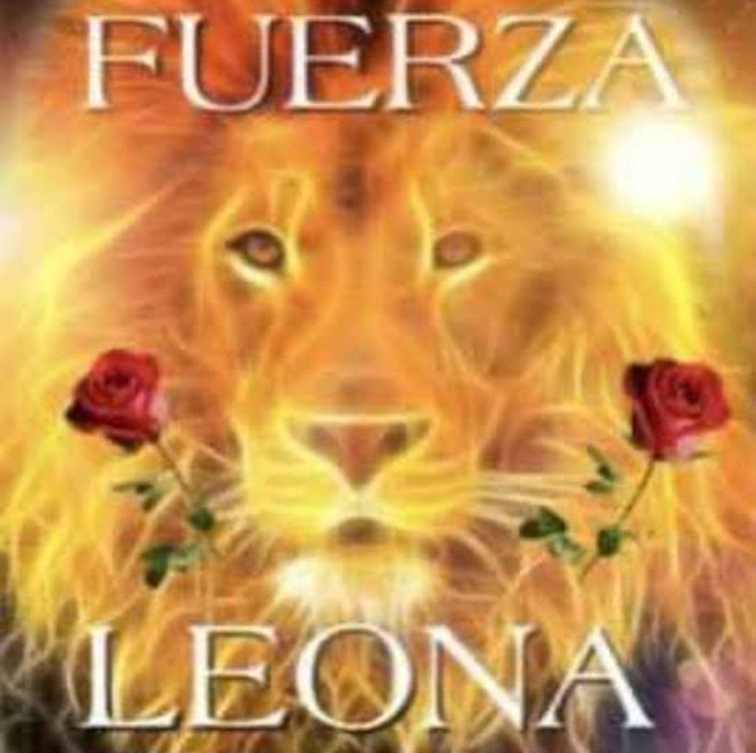 Effy ¹¹¹ tweet media