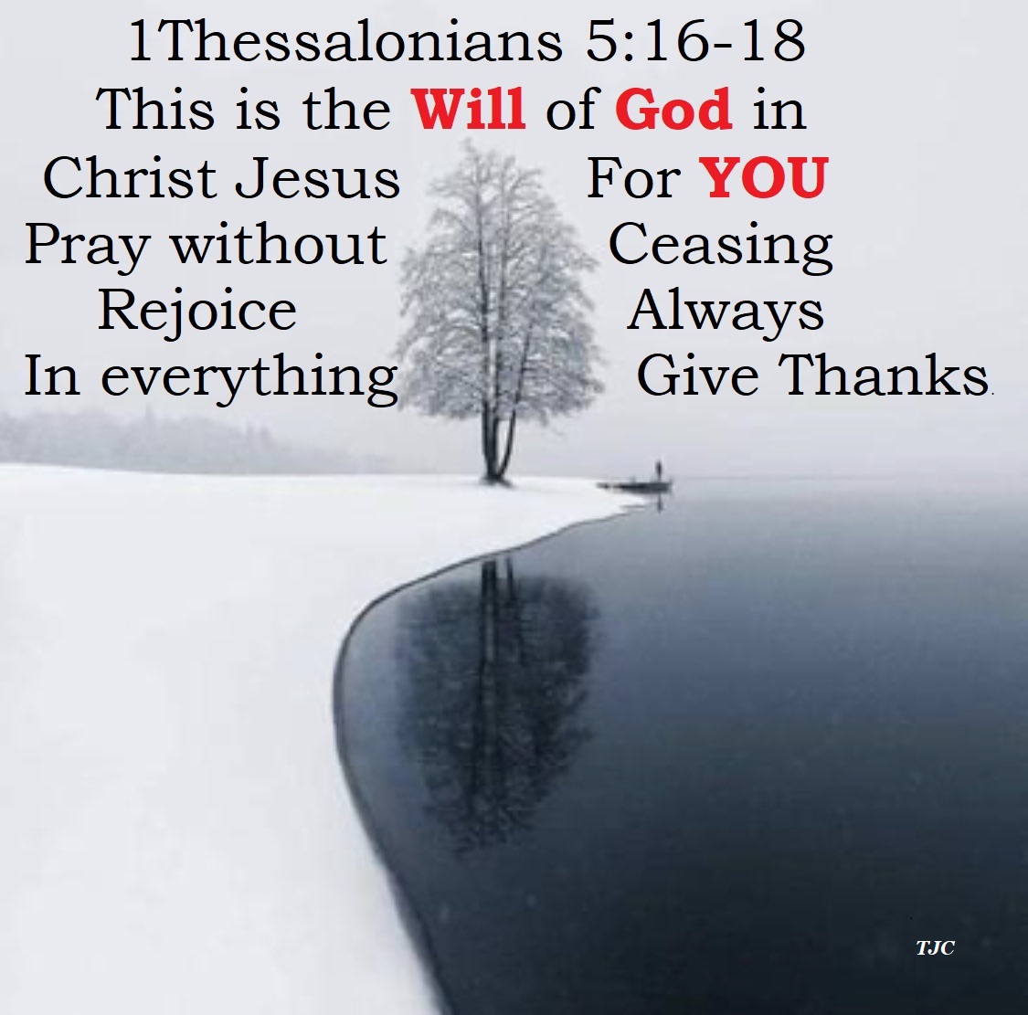 David John Cogger tweet media