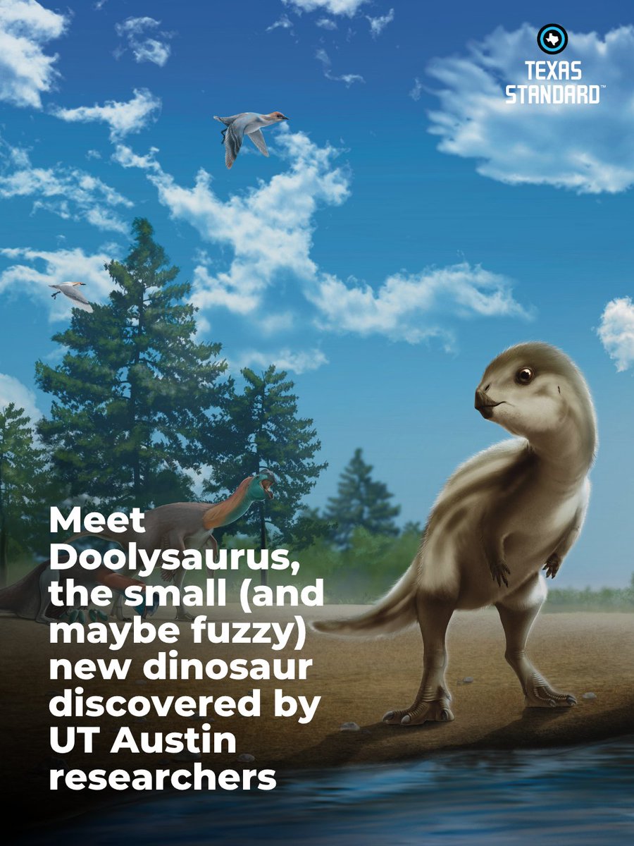 KUT Austin tweet media