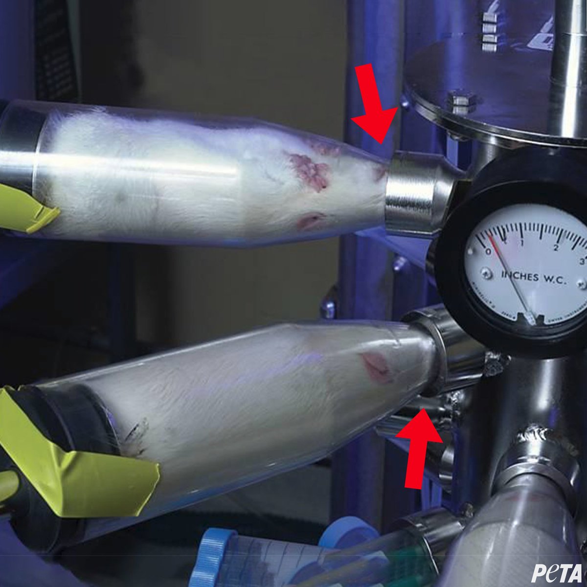 Hunky Vape tweet media