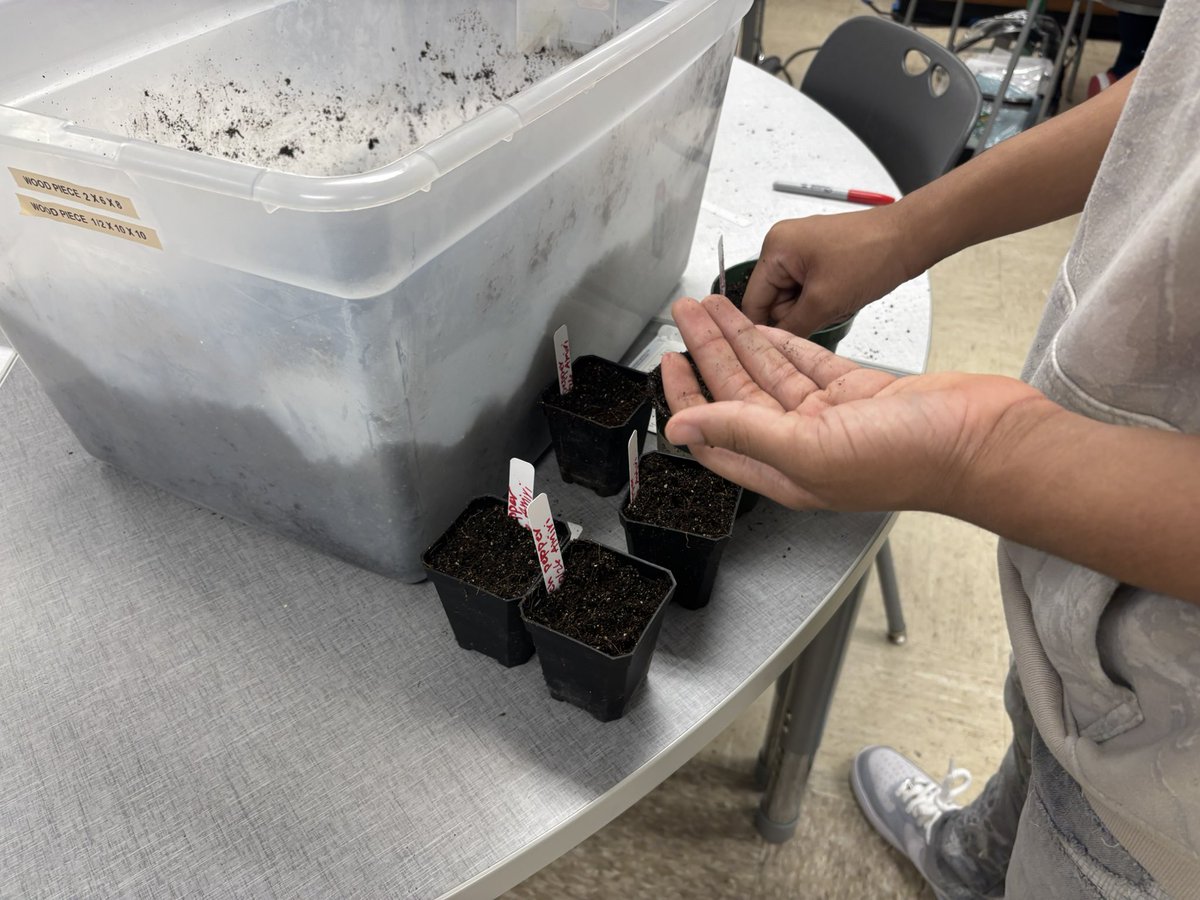 Western High School tweet media