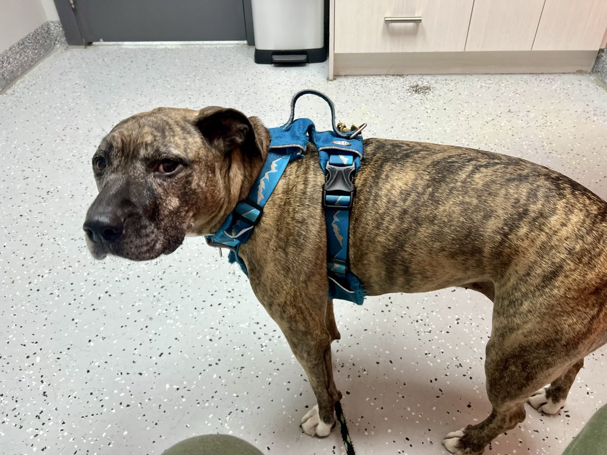 Jen The Feisty Librarian tweet media