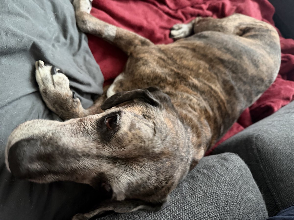 CapnBubbs tweet media