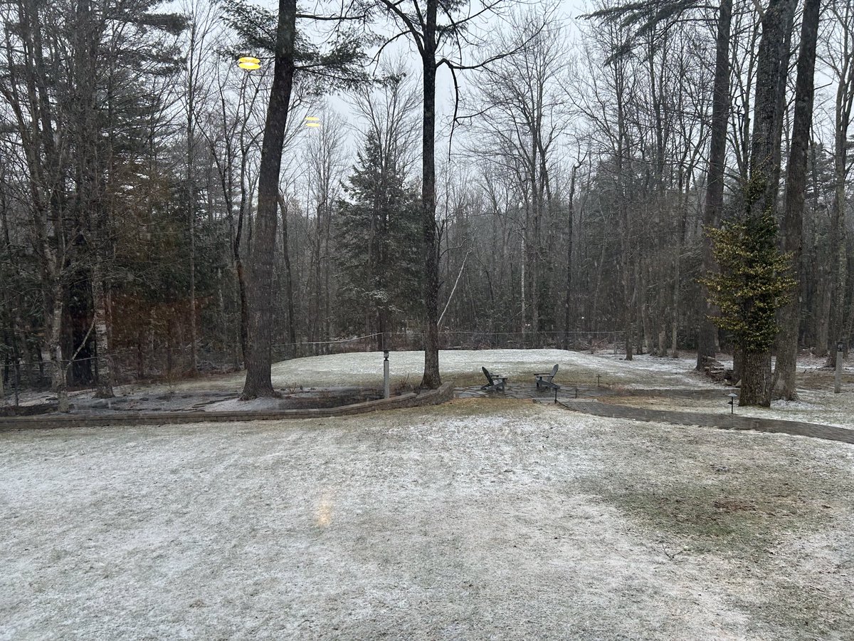 Zen Den's Haiku and Non Sequitur Emporium tweet media