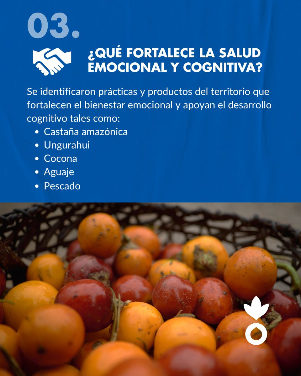 Acción contra el Hambre Perú tweet media