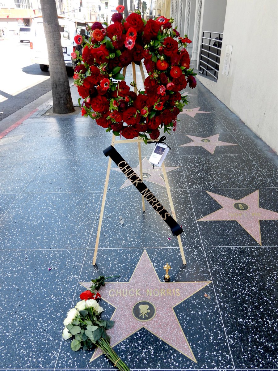Flowers for Walk of Famer <a href="/chucknorris/">Chuck Norris</a>. Flowers placed by Hollywood Chamber of Commerce and sponsored by Hollywood Historic Trust. RIP 🕊️ 
Photo credit @donnellywood56