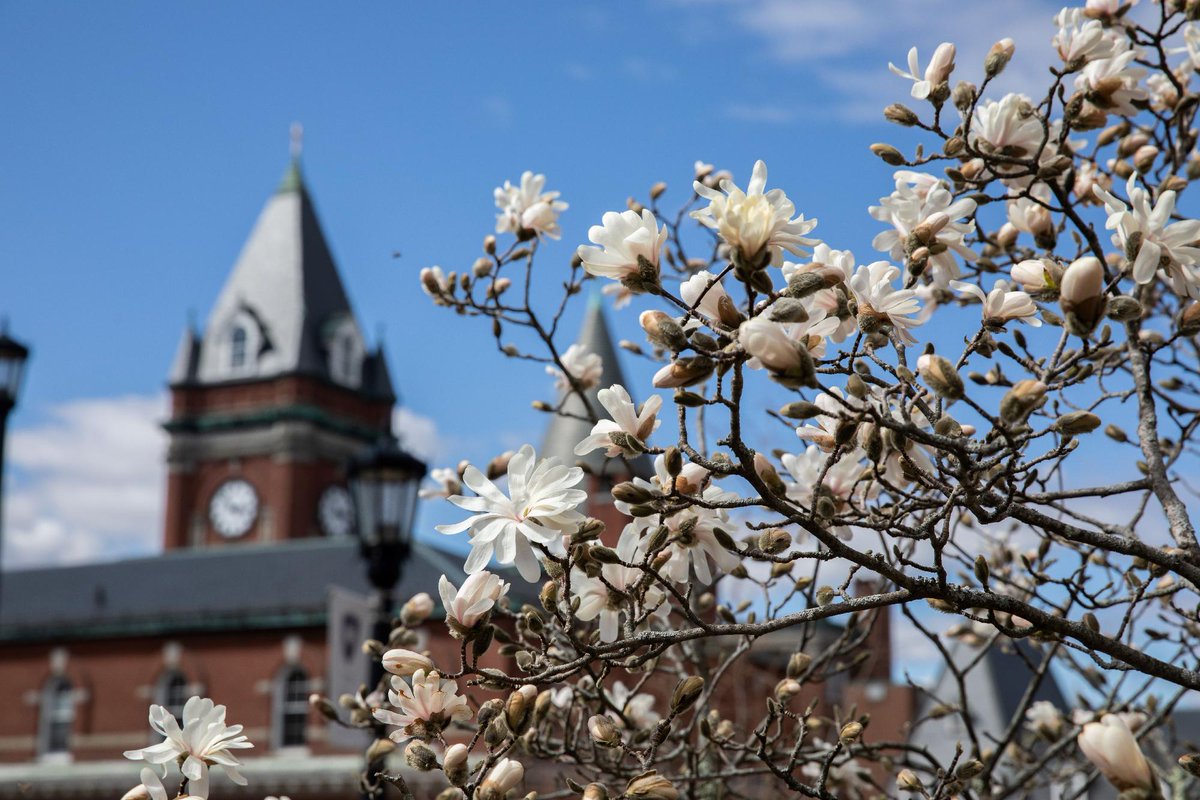 College of the Holy Cross tweet media