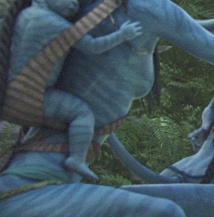 Neteyam’s Third Hair Bead tweet media