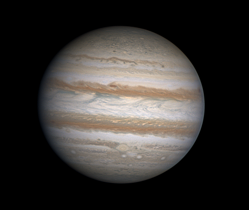 Tom Williams tweet media