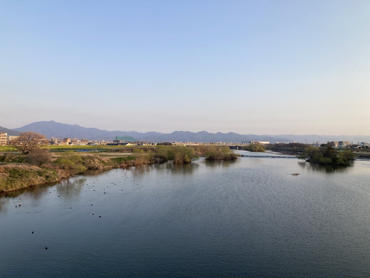 ジンノユーイチ ＠京都の税理士 tweet media