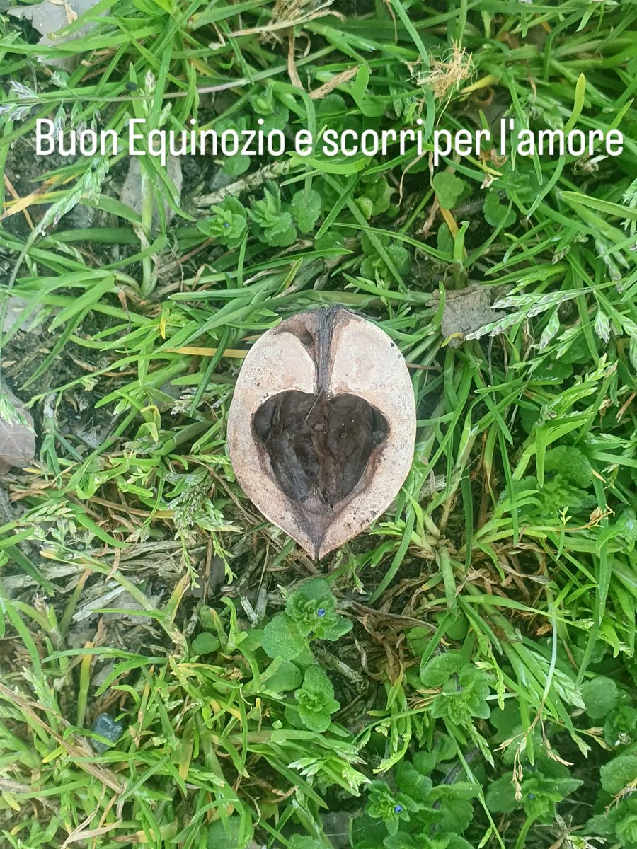 Buon equinozio!