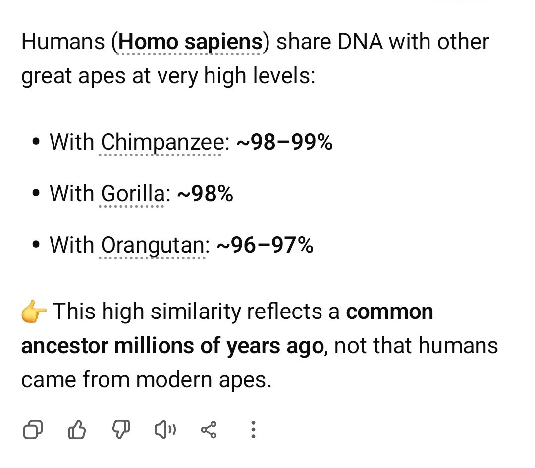 Mike S ⁉️ tweet media