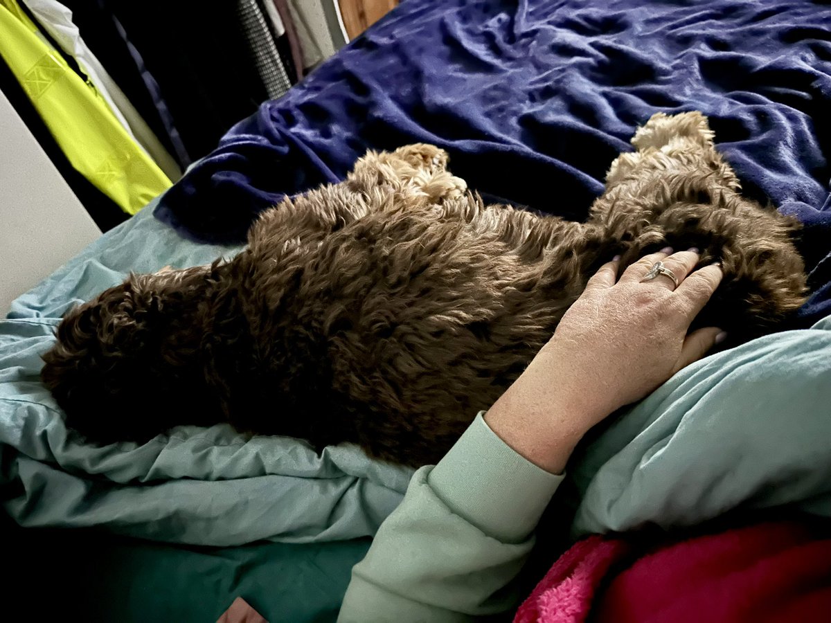 RobertLeCocker tweet media