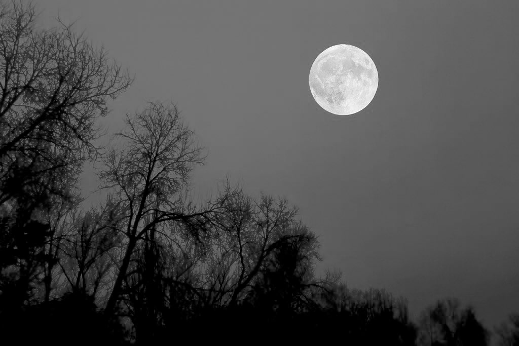 Breverías tweet media