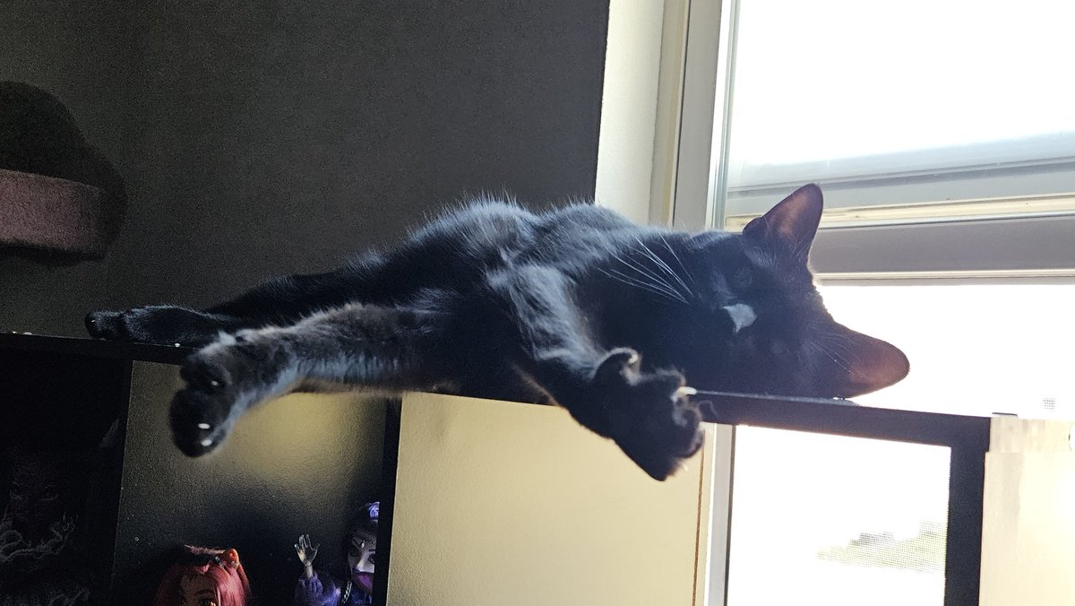 🍒🍀🥀 tweet media