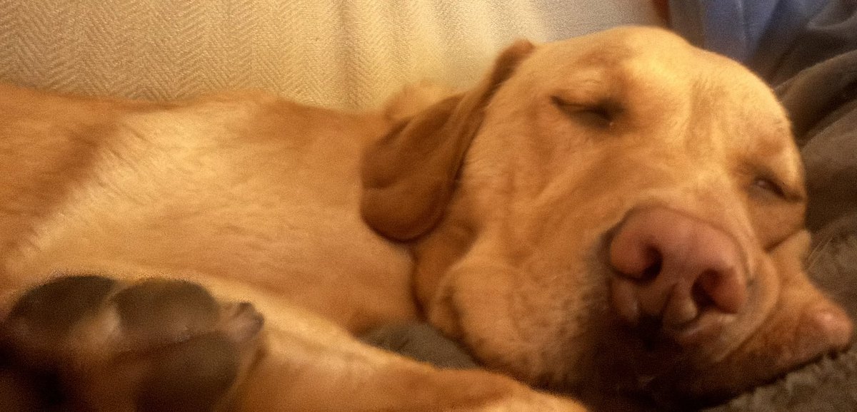 Paul Keeley tweet media