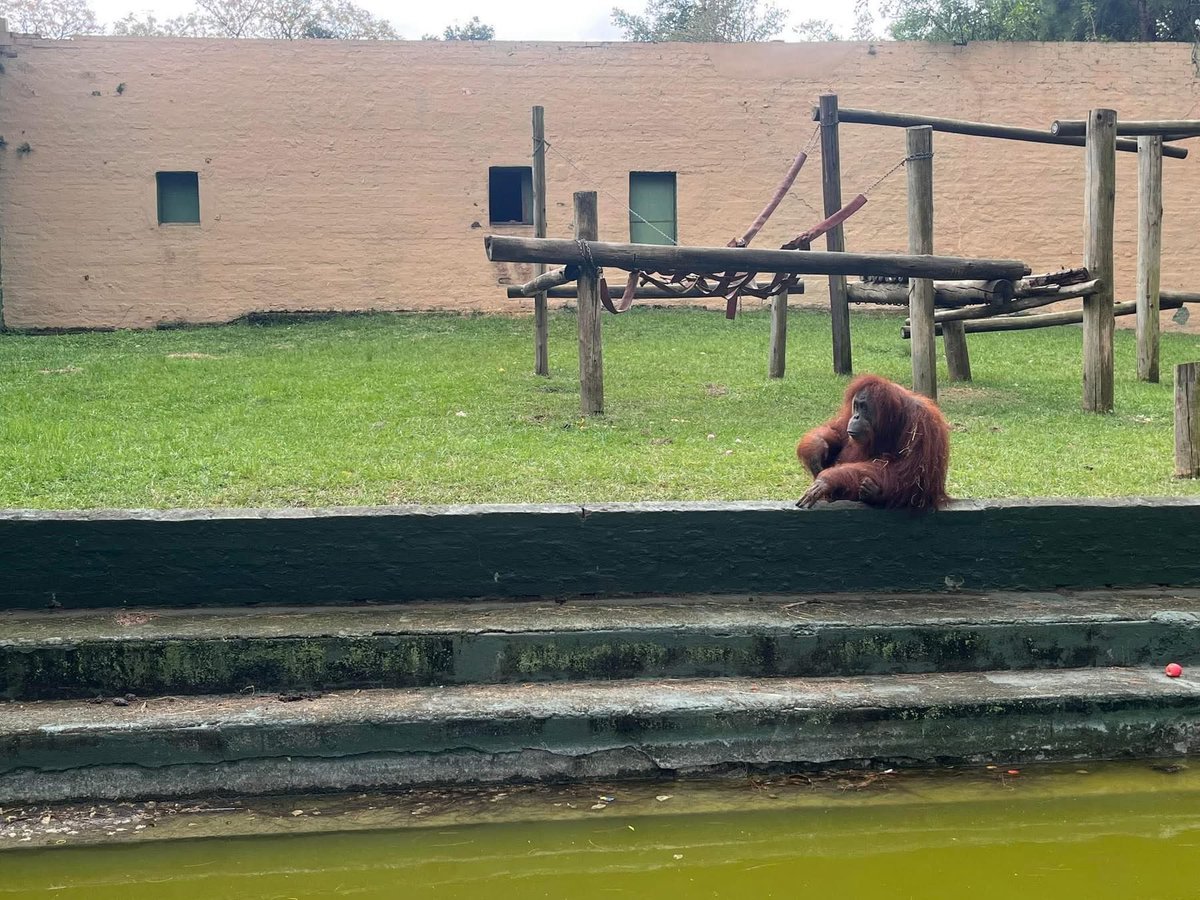 🧸 LAUREN 🧸 tweet media