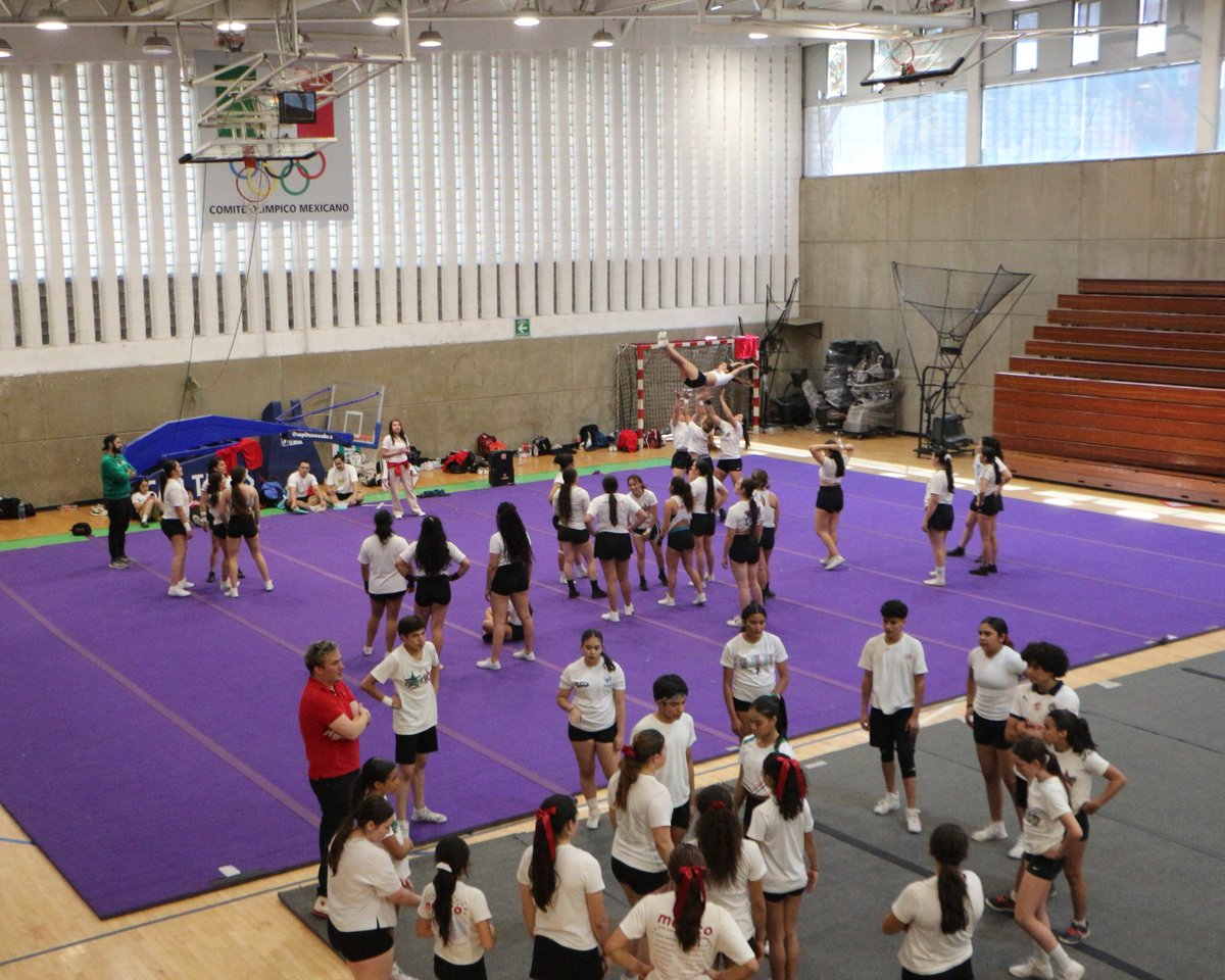 Comité Olímpico Mexicano tweet media