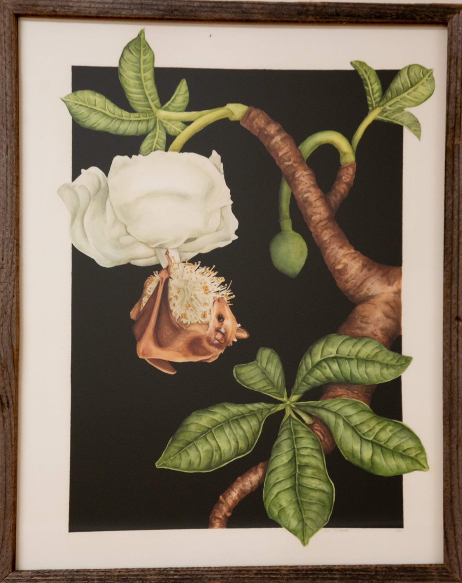 Salinasvhealth's tweet photo. The halls at Salinas Valley Health Medical Center are filled with beautiful, calming, peaceful and healing artwork created by local student artists.
We’re proud to provide a space where young artists can exhibit their art.
#artwalk #SalinasValleyHealth https://t.co/TvRkD1w66C