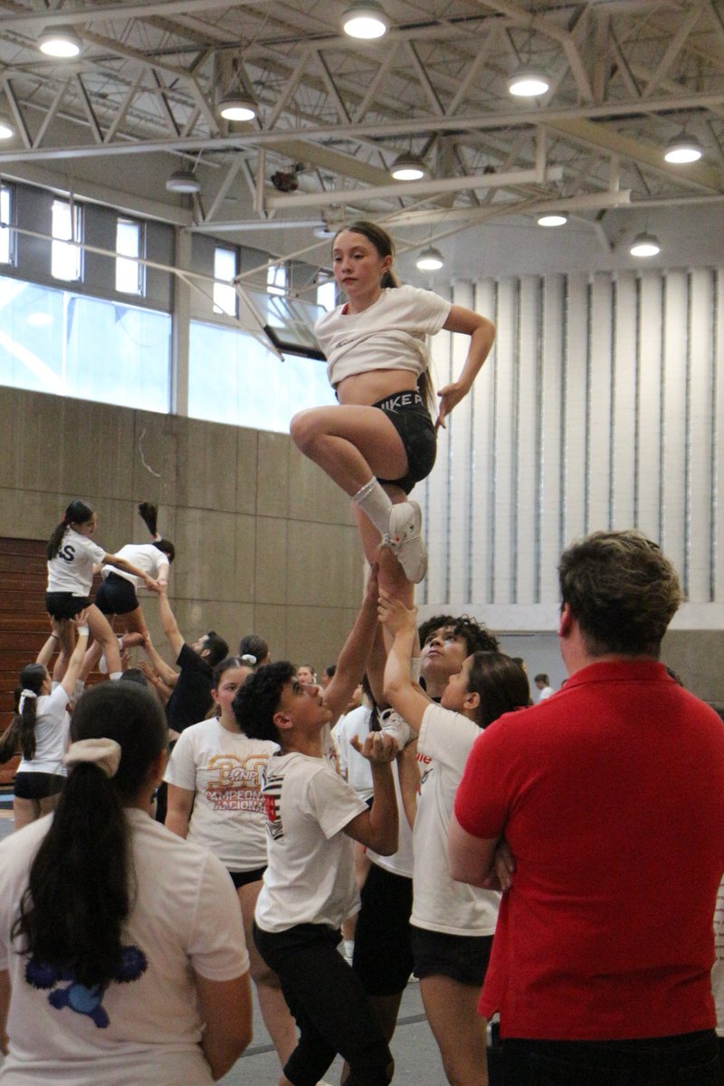 Comité Olímpico Mexicano tweet media