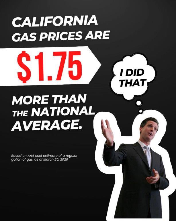 Senator Suzette Valladares tweet media