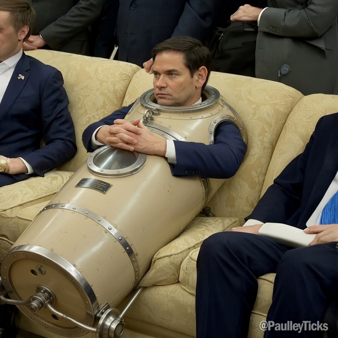 qirat abbasi tweet media