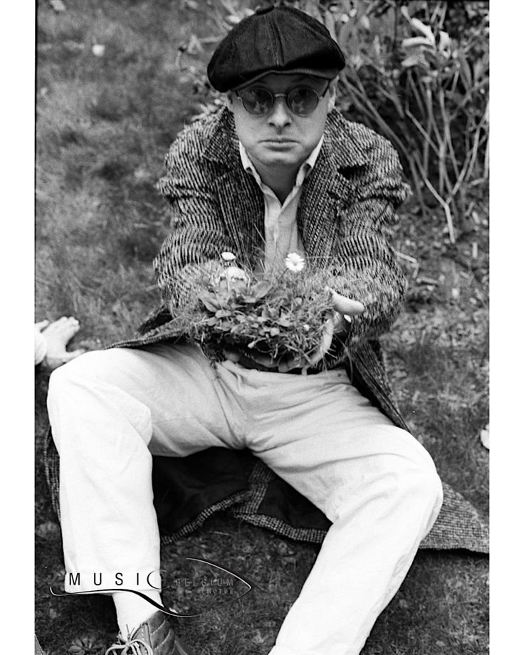 daily xtc 🍊🍋 tweet media