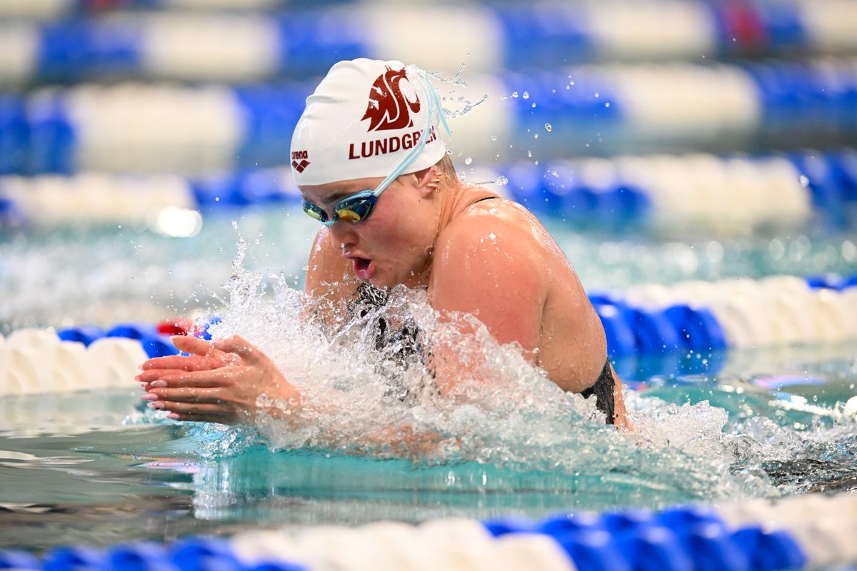 WSU Women's Swimming tweet media