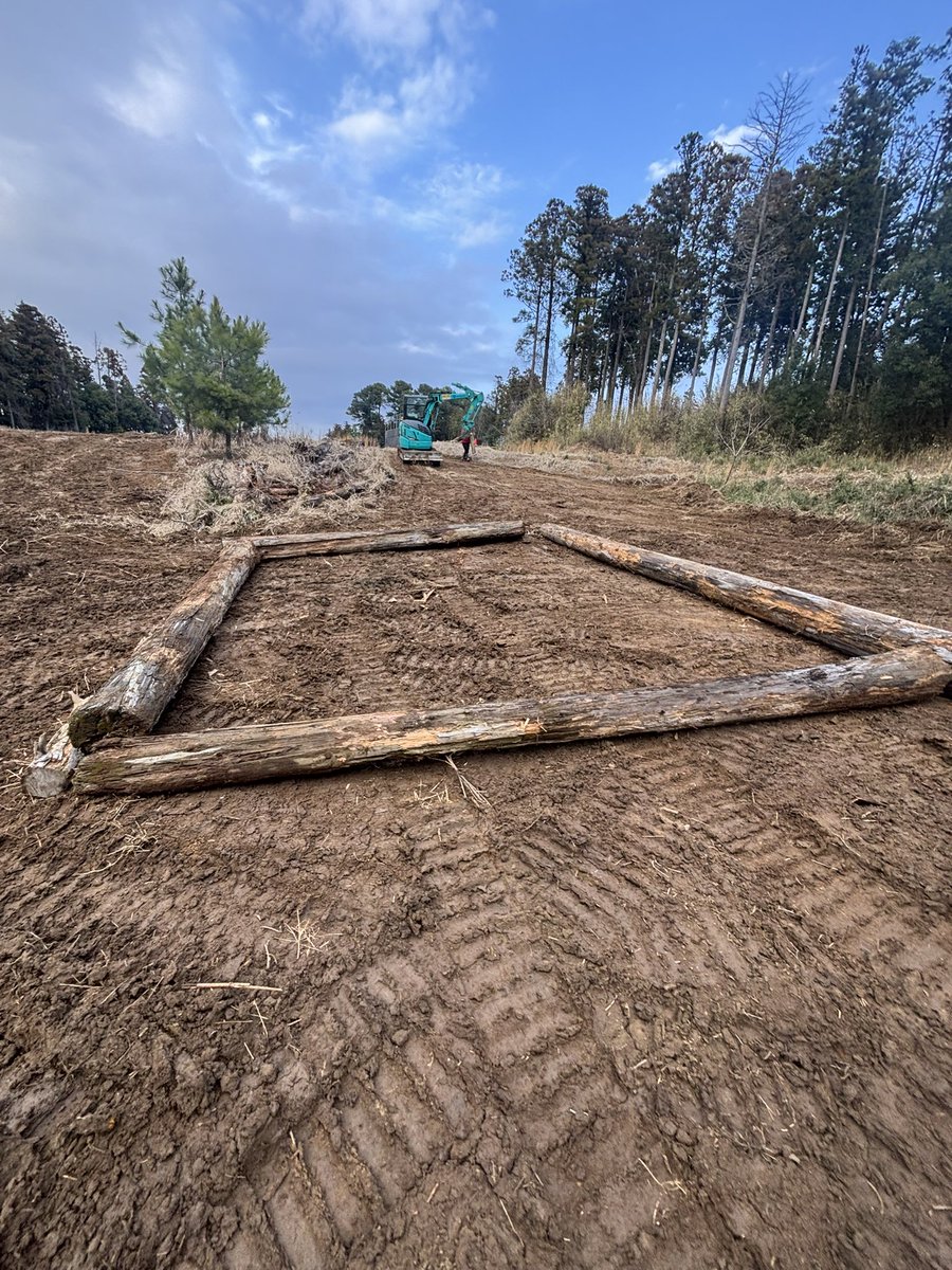 マナブギョーザ tweet media