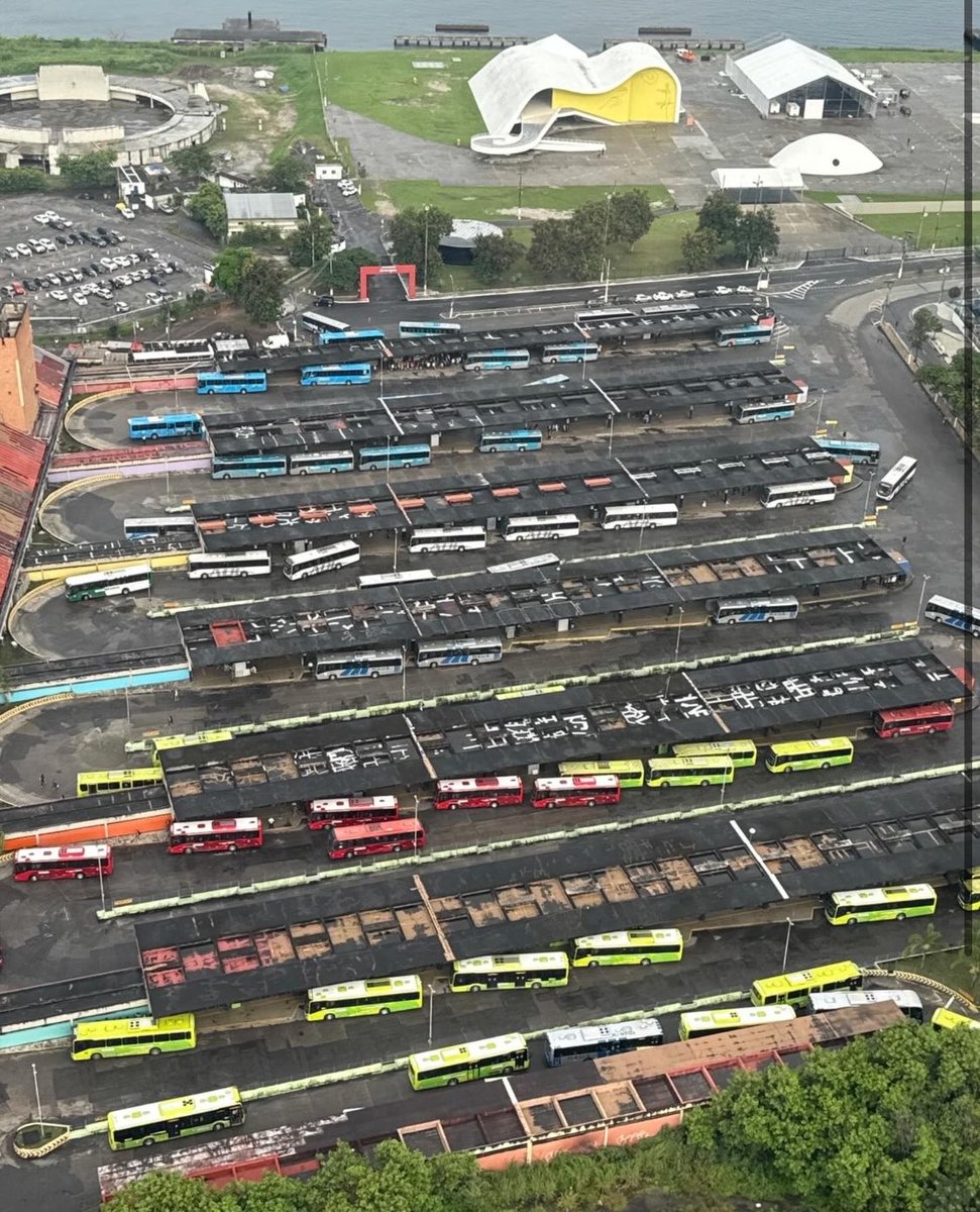 Busologia Moderna Nacional tweet media