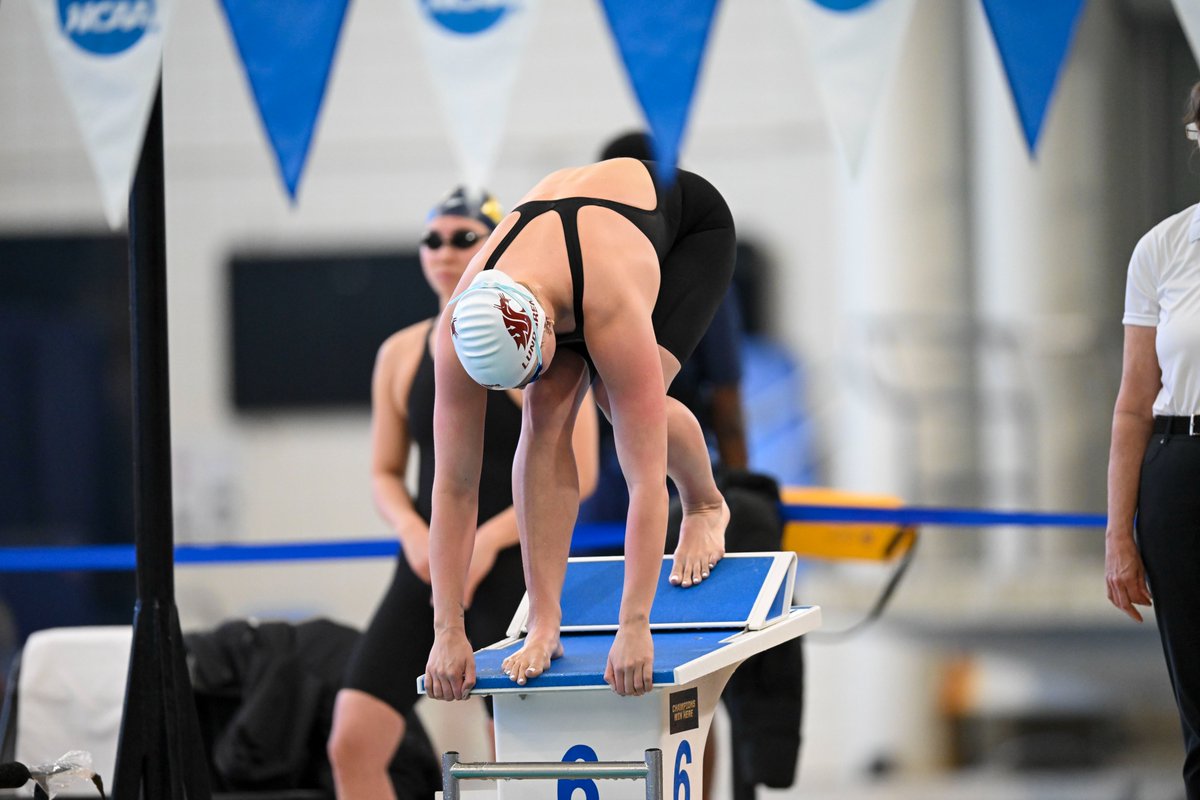WSU Women's Swimming tweet media