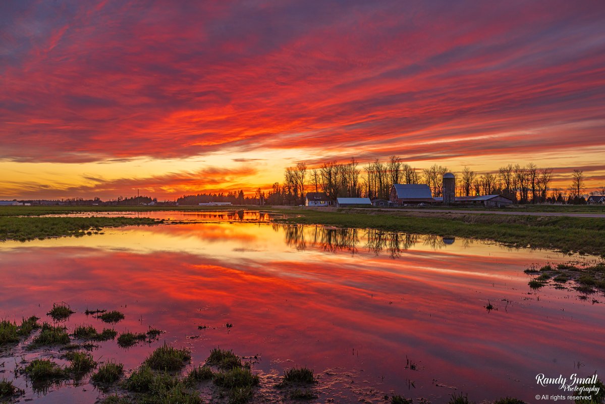 Randy Small - Whatcom County Weather tweet media