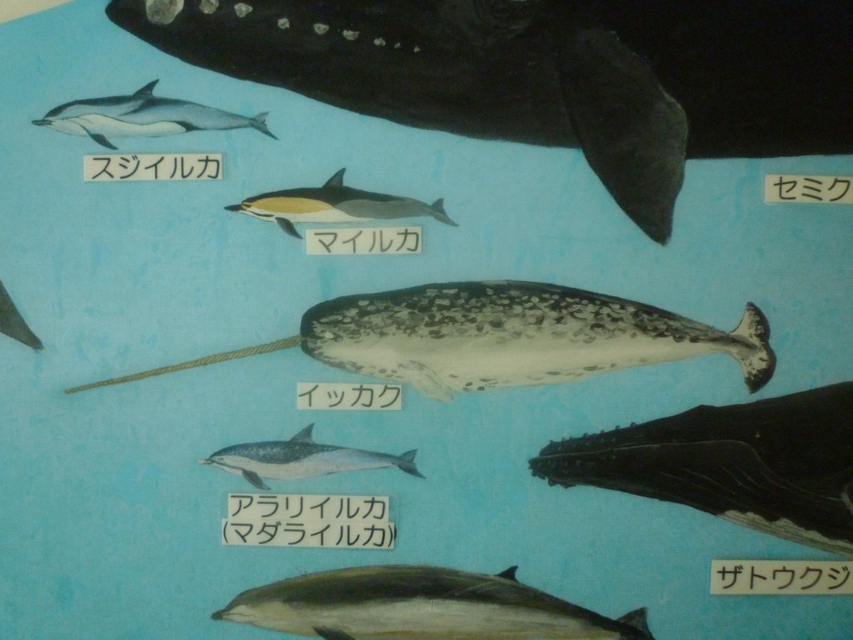 nagi𓅫⸒⸒ tweet media