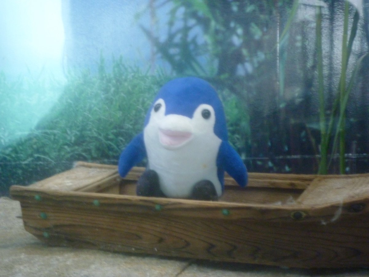 nagi𓅫⸒⸒ tweet media