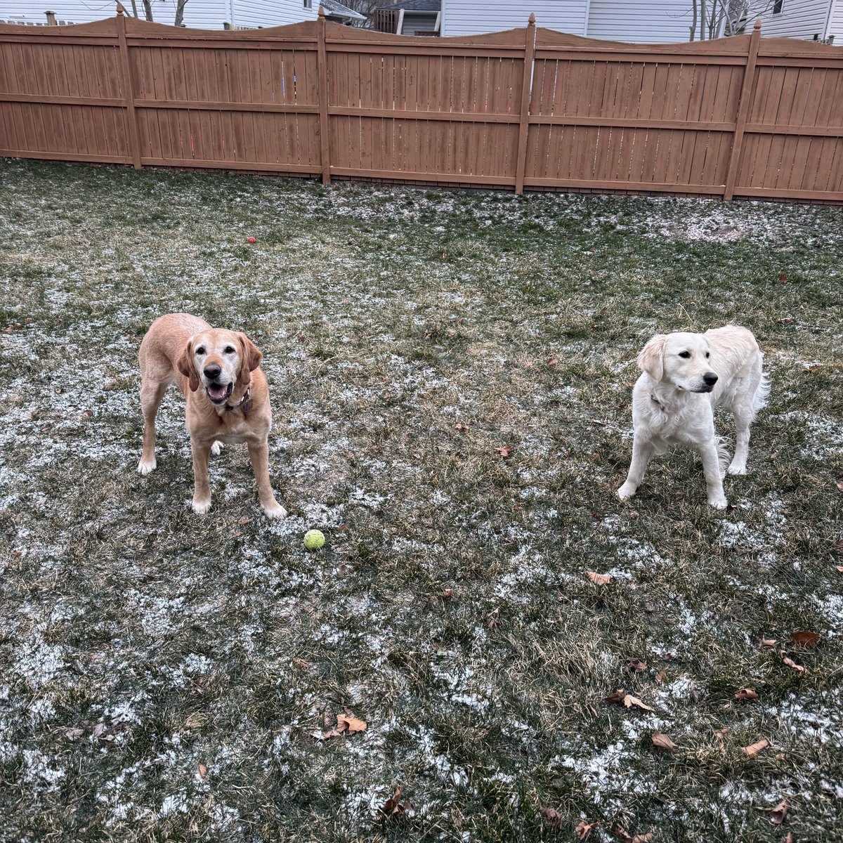 Gail Robertson-ChiefCuriosityOfficer tweet media