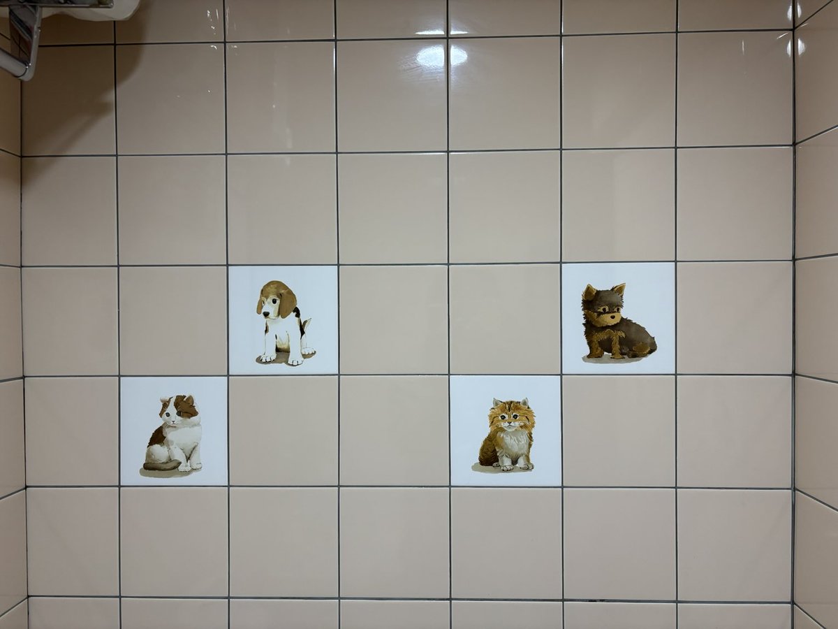 キャワユイトイレめ…。