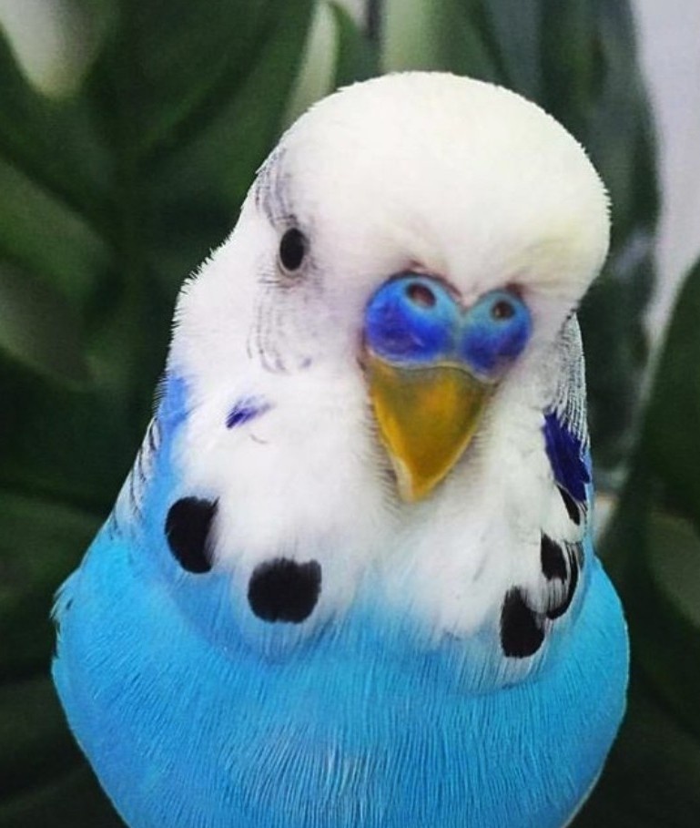 Karl Settle tweet media