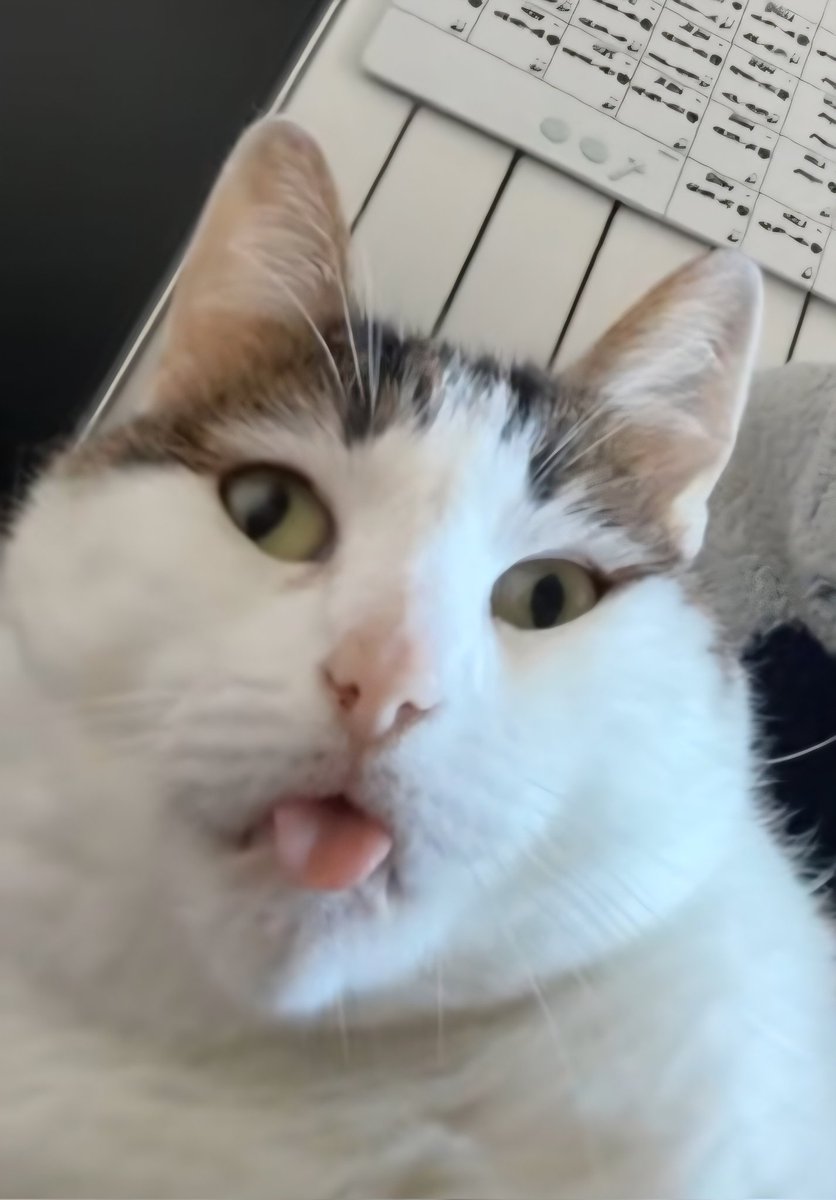 Fantôme Prout 👻 💨 tweet media