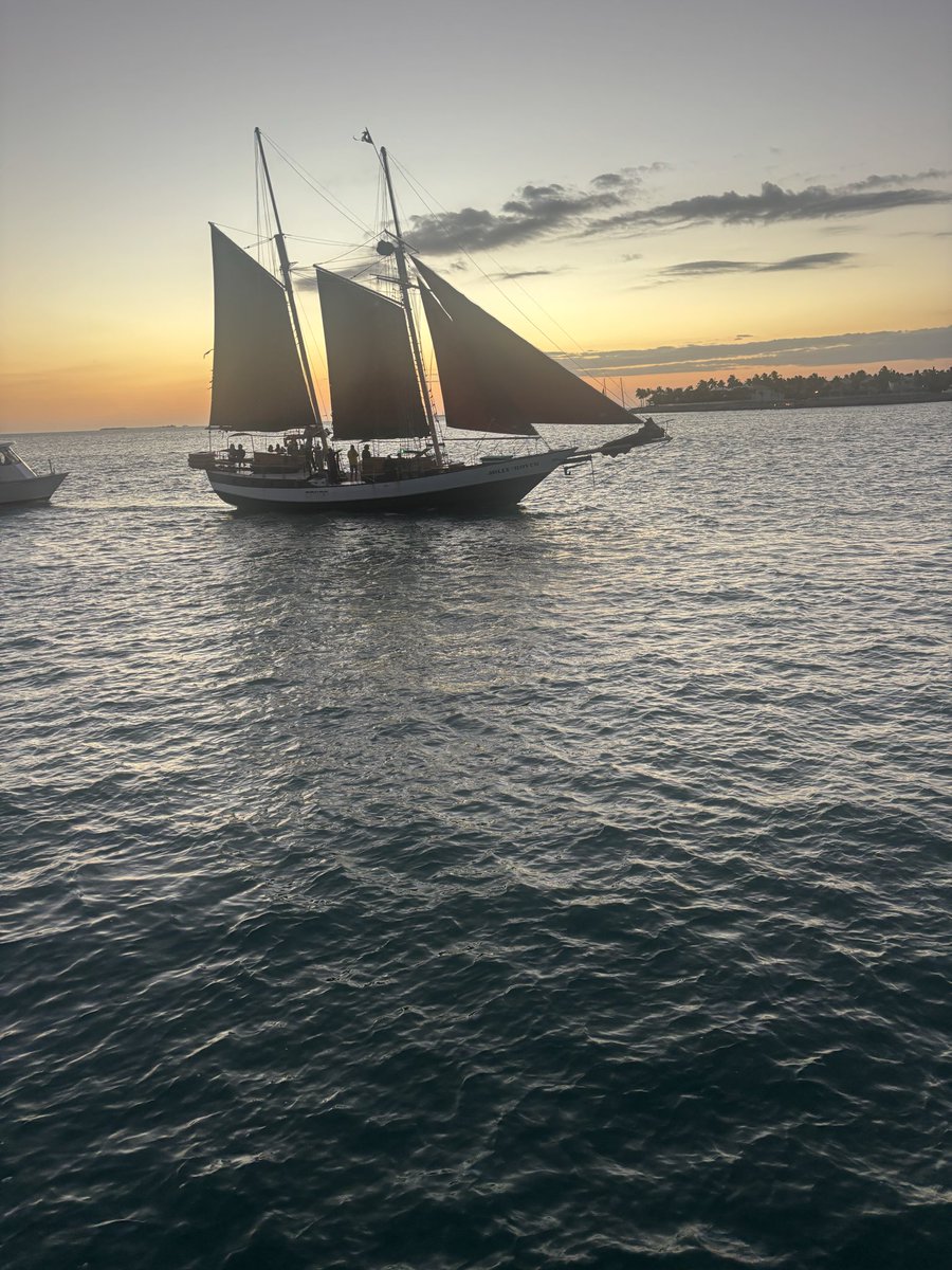 Beau Hoover Montgomery tweet media