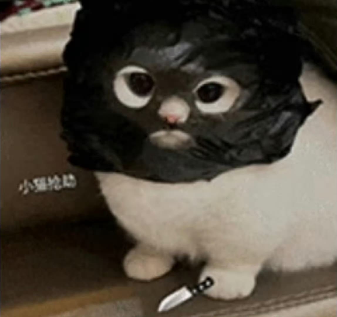 𝐋𝐞𝐞🦄 tweet media