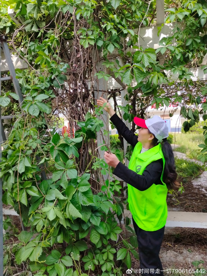 zhee_ned tweet media